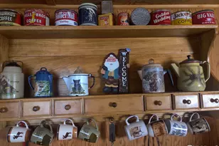 121 Pine Nut Ln, Red Feather Lakes, CO 80545 - Photo 14