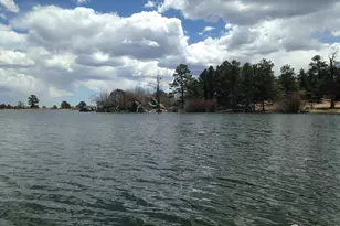 121 Pine Nut Ln, Red Feather Lakes, CO 80545 - Photo 34