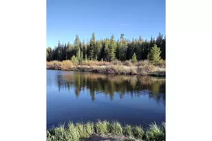 121 Pine Nut Ln, Red Feather Lakes, CO 80545 - Photo 36