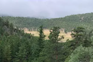 875 Pine Tree Dr, Estes Park, CO 80517 - Photo 1