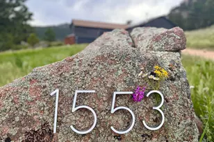 1553 Rowell Dr, Lyons, CO 80540 - Photo 1