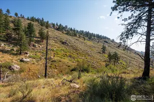 0 Pine Acres Way, Bellvue, CO 80512 - Photo 1