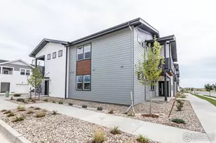 2120 Falling Leaf Dr, Windsor, CO 80550 - Photo 1