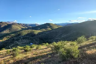 232 Red Mountain Ct, Livermore, CO 80536 - Photo 1