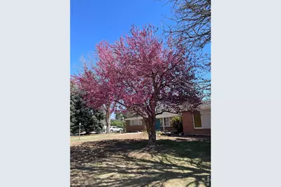 5860 Wood Sorrel Dr, Littleton, CO 80123 - Photo 1