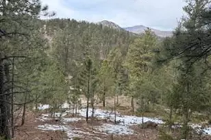 7294 Co Rd 43, Glen Haven, CO 80532 - Photo 1