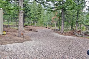257 Jicarilla Trail, Red Feather Lakes, CO 80545 - Photo 1