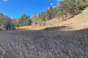 111 12th Street, Jamestown, CO 80455 - Photo 1