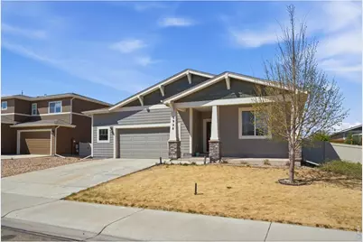 3928 River Birch St, Wellington, CO 80549 - Photo 1