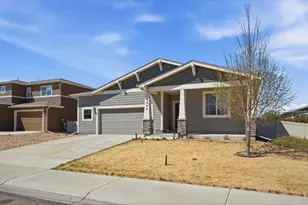 3928 River Birch St, Wellington, CO 80549 - Photo 1