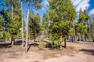 297 Manso Way, Red Feather Lakes, CO 80545 - Photo 1