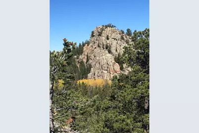 Wandering Ln, Red Feather Lakes, CO 80545 - Photo 1