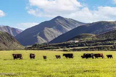 533 N Left Fork Hobble Creek Canyon, Springville, UT 84663 - Photo 16