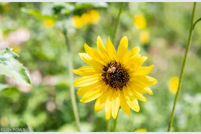 2121 E Flat Top Mountain Drive, Heber City, UT 84032 - Photo 64