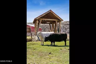 29706 Old Lincoln Hwy, Wanship, UT 84017 - Photo 48