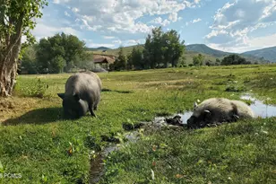 29706 Old Lincoln Hwy, Wanship, UT 84017 - Photo 50