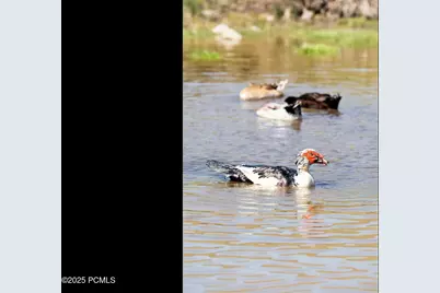 29706 Old Lincoln Highway, Wanship, UT 84017 - Photo 42