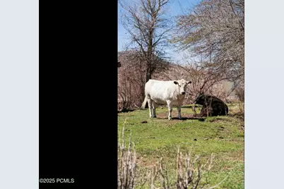 29706 Old Lincoln Highway, Wanship, UT 84017 - Photo 44