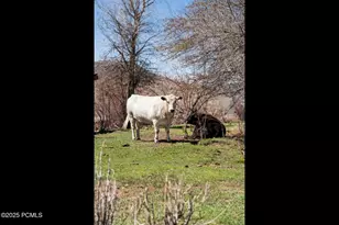 29706 Old Lincoln Hwy, Wanship, UT 84017 - Photo 44