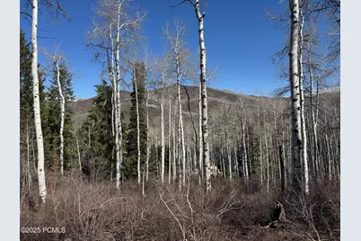 662 Red Fir Way, Oakley, UT 84055 - Photo 20