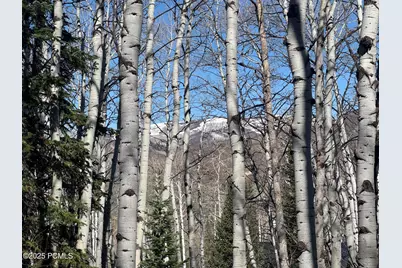 661 Red Fir Way, Oakley, UT 84055 - Photo 26