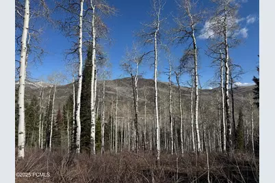 661 Red Fir Way, Oakley, UT 84055 - Photo 14