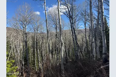 661 Red Fir Way, Oakley, UT 84055 - Photo 12