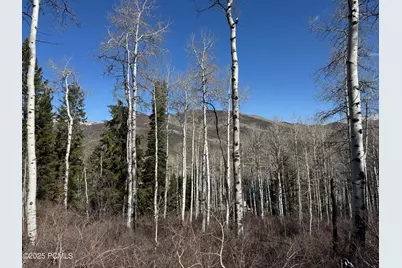 661 Red Fir Way, Oakley, UT 84055 - Photo 24