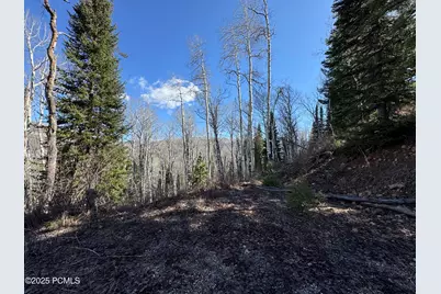 661 Red Fir Way, Oakley, UT 84055 - Photo 8