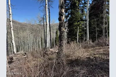 661 Red Fir Way, Oakley, UT 84055 - Photo 16