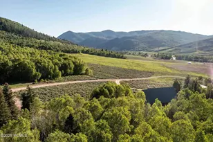 651 Spotted Fawn Ln, Oakley, UT 84055 - Photo 56