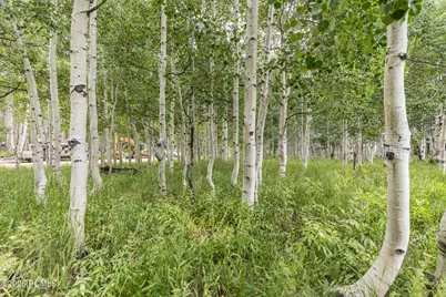 11911 Antelope Drive, Heber City, UT 84032 - Photo 10