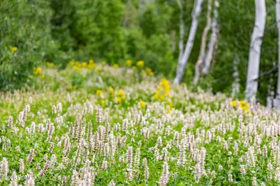 No Situs Address, Midway, UT 84049 - Photo 80