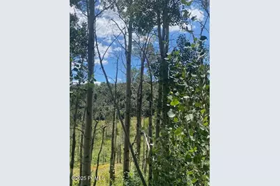2684 S Forest Meadow Road, Coalville, UT 84017 - Photo 20