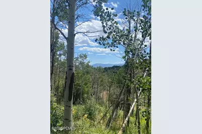 2684 S Forest Meadow Road, Coalville, UT 84017 - Photo 4