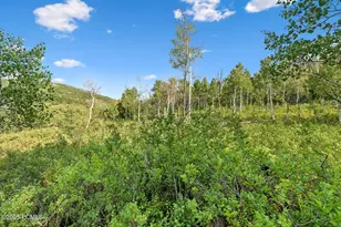 Tax Id 00-0008-2409, Heber City, UT 84032 - Photo 26