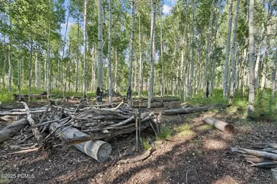 3949 Blue Spruce Drive, Heber City, UT 84032 - Photo 44