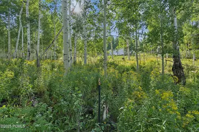 3949 Blue Spruce Drive, Heber City, UT 84032 - Photo 32