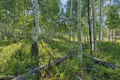 3949 Blue Spruce Drive, Heber City, UT 84032 - Photo 40