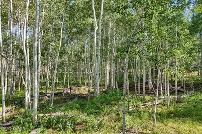 3949 Blue Spruce Drive, Heber City, UT 84032 - Photo 8