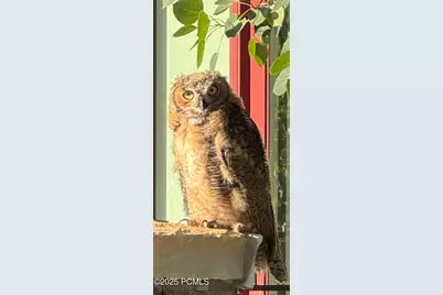 9080 N Uinta Drive, Kamas, UT 84036 - Photo 18