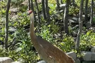 9080 N Uinta Dr, Kamas, UT 84036 - Photo 6