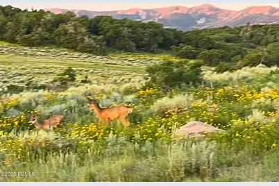 896 W Deer Hill Road, Park City, UT 84098 - Photo 76