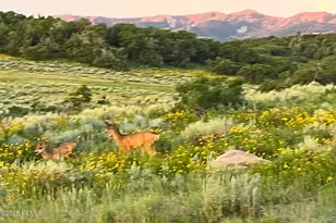 896 W Deer Hl Rd, Park City, UT 84098 - Photo 76