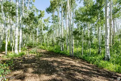 5156 N Pebble Drive, Midway, UT 84049 - Photo 2