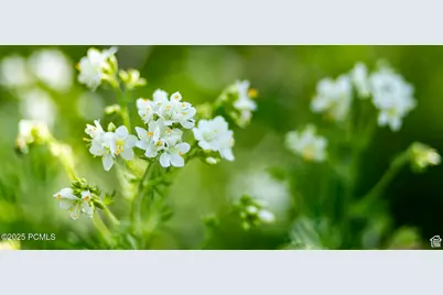 5156 N Pebble Drive, Midway, UT 84049 - Photo 4