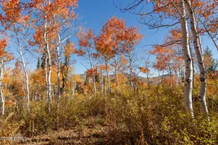 10964 N Chukar Point Dr, Huntsville, UT 84317 - Photo 60