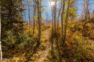 10964 N Chukar Point Dr, Huntsville, UT 84317 - Photo 56