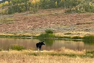 10964 N Chukar Point Dr, Huntsville, UT 84317 - Photo 78