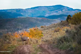 7461 E Stardust Ct, Heber City, UT 84032 - Photo 48